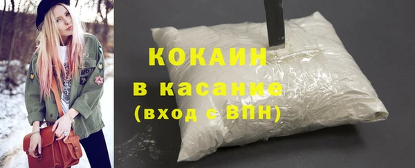 гашик Арсеньев