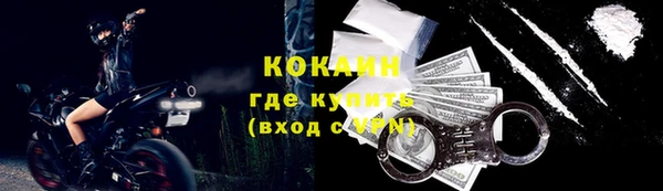 гашик Арсеньев