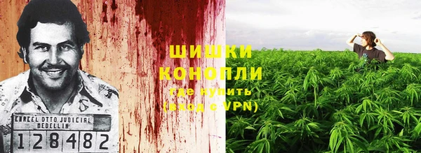 молекула духа Красноперекопск