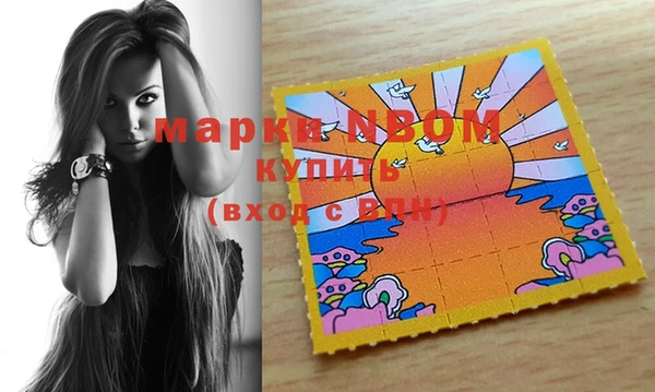ешки Аркадак